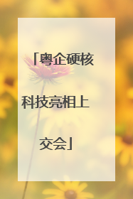 粤企硬核科技亮相上交会